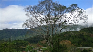 Nơi chứa đựng “hồn” người Xơ Đăng